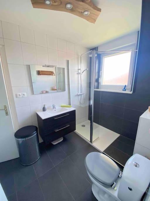 Logement Ideal Pour Un Sejour Alsacien En Amoureux Colmar Exterior foto